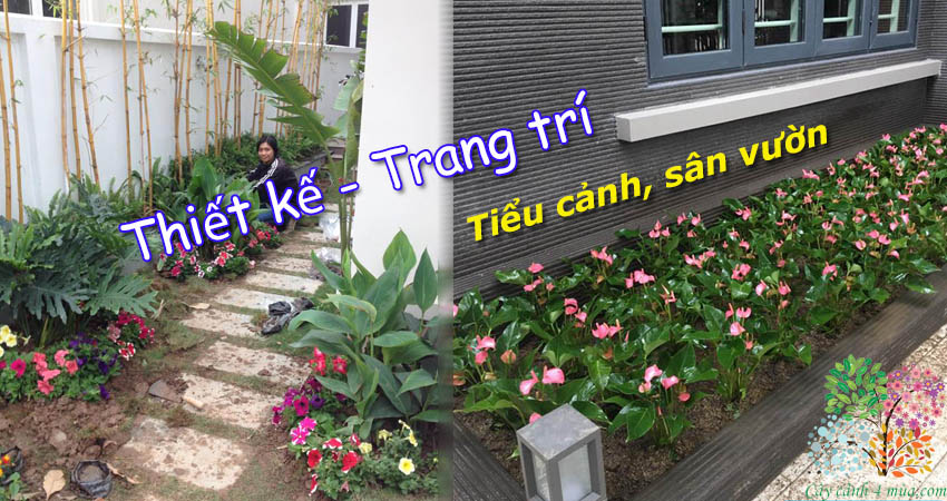 Thiết kế sân vườn